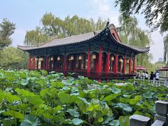 -济南大明湖景区