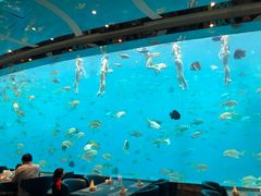 -瑞德姆美人鱼海底演艺主题餐厅(亚龙湾店)