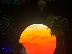 -扬之阿李菌汤火锅(1969店)