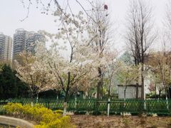 -泰丰公园