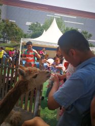 -萌宠亲子动物乐园(槐房万达店)