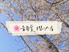 -青岛大珠山景区
