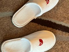 -广州白天鹅宾馆