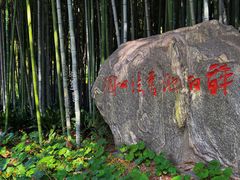 -上海醉白池公园