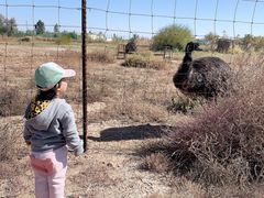 -亿利库布其七星湖沙漠生态旅游区