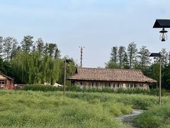 -乌村