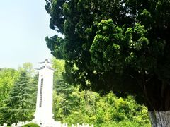 -黔灵山公园
