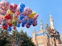 -上海迪士尼度假区