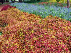 -长春公园(普阳街道)