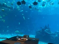 -海棠湾洲际-涛·海底餐厅·美人鱼·自助餐·海底隧道