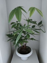 -颜蕾医美·黄金微针·水光·玻尿酸·超声炮·抗衰中心