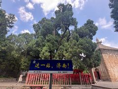-四门塔风景区
