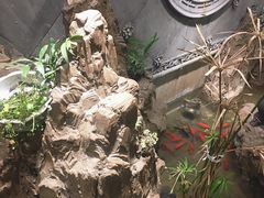-徐鼎盛民间菜(上筑店)