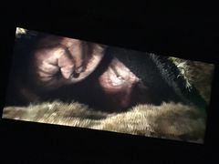 -星美国际影商城(虹口店)