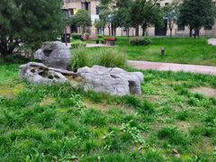 -唐城墙遗址公园