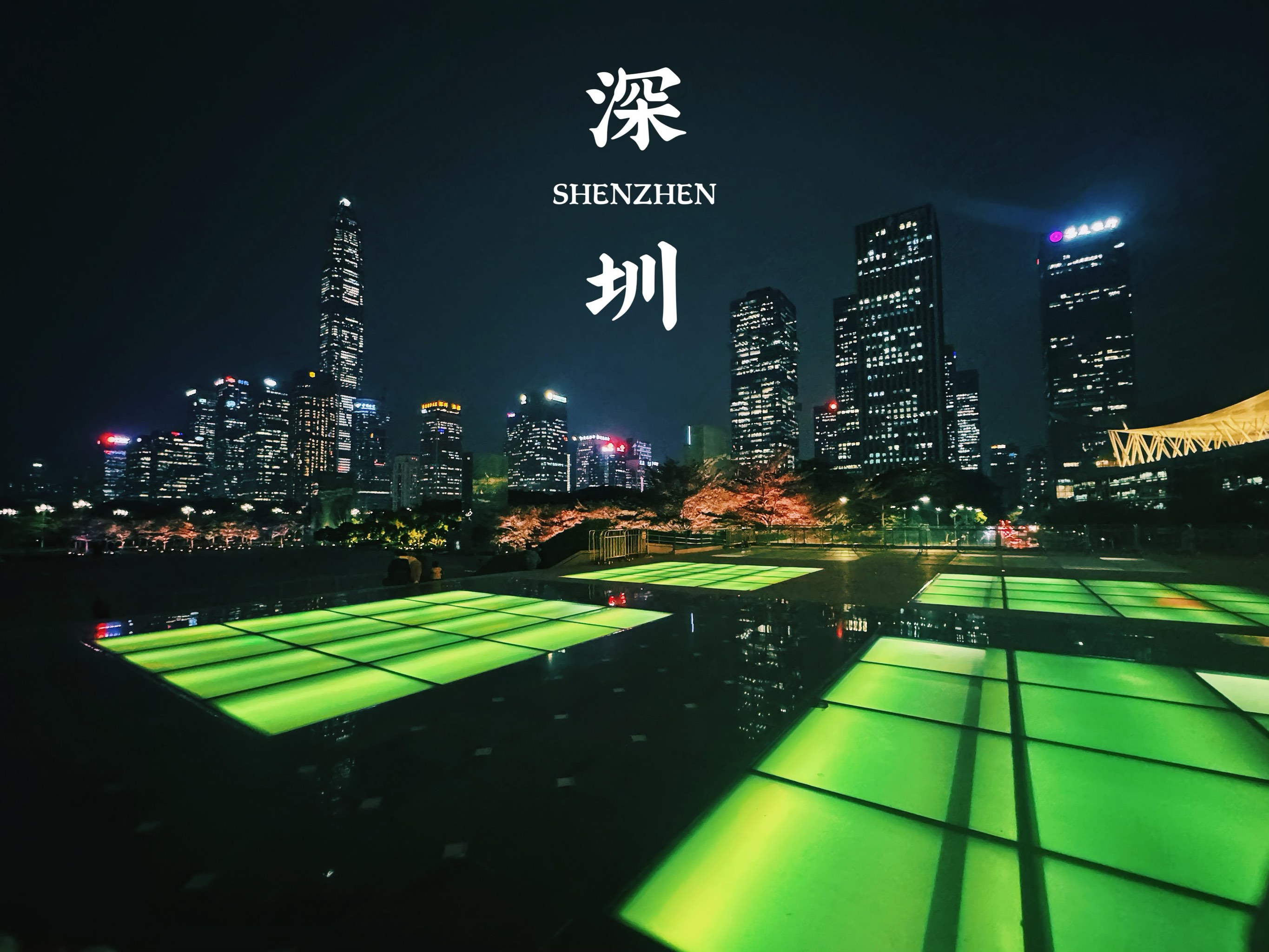 深圳|夜色中的旋律