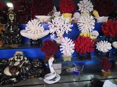 -日照灯塔风景区