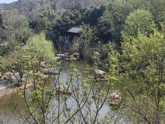 -五凤溪古镇