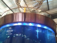 -佛山希尔顿酒店·融誉亚洲美食荟