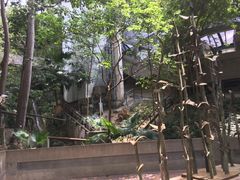 -香港大学