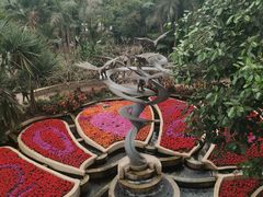 -南山植物园