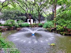 -上海醉白池公园