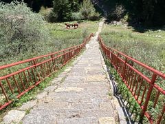 -芦芽山旅游度假区