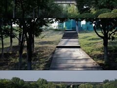 -西安浐灞国家湿地公园