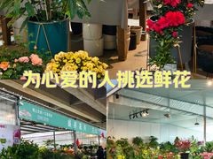 -三圣花乡旅游区