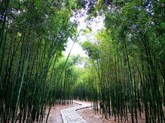 -同里国家湿地公园