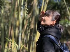 -大屏嶂森林公园