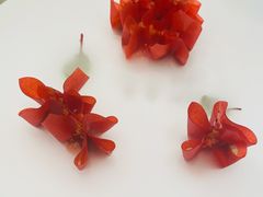 山楂鹅肝-柿合缘新京菜(国金中心商场店)