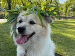 -苏州中心商场