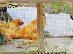 -昱南托育园.托班晚托.寒暑假班