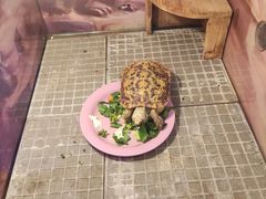 -上海大自然野生昆虫馆