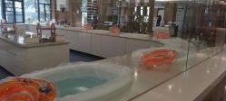 -宝生月子中心·独栋独院式(南山店)