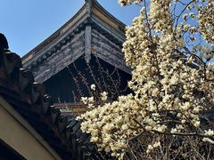 -常熟方塔园