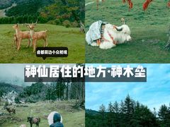 -硗碛藏寨·神木垒景区