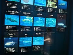 -鹿儿岛水族馆