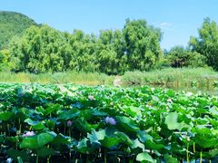 -国家植物园南园