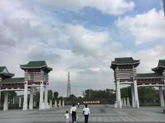 -王借岗森林公园