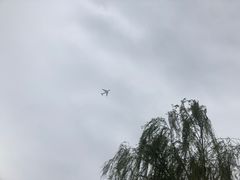 -茯茶镇