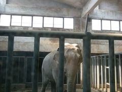 android_upload_pic-石家庄市动物园