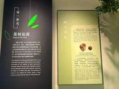 -中国茶叶博物馆(双峰馆区)
