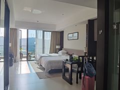 -河源万绿湖美思威尔顿酒店