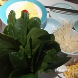 青瓷火锅
