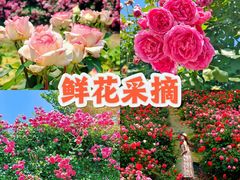 -栖露营camping·天幕烧烤·团建拓展·采摘营地
