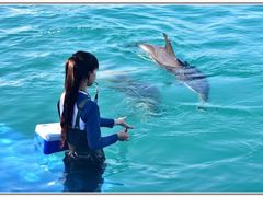 -三亚海昌梦幻海洋不夜城