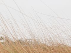 -白沙门生态公园