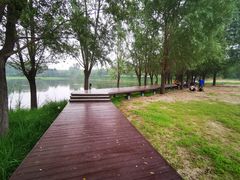 -东郊湿地公园
